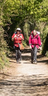 pèlerinage de saint jacques de compostelle - camino frances.jpg